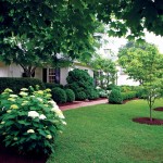 The Landcare Group, Long Island Landscaping 